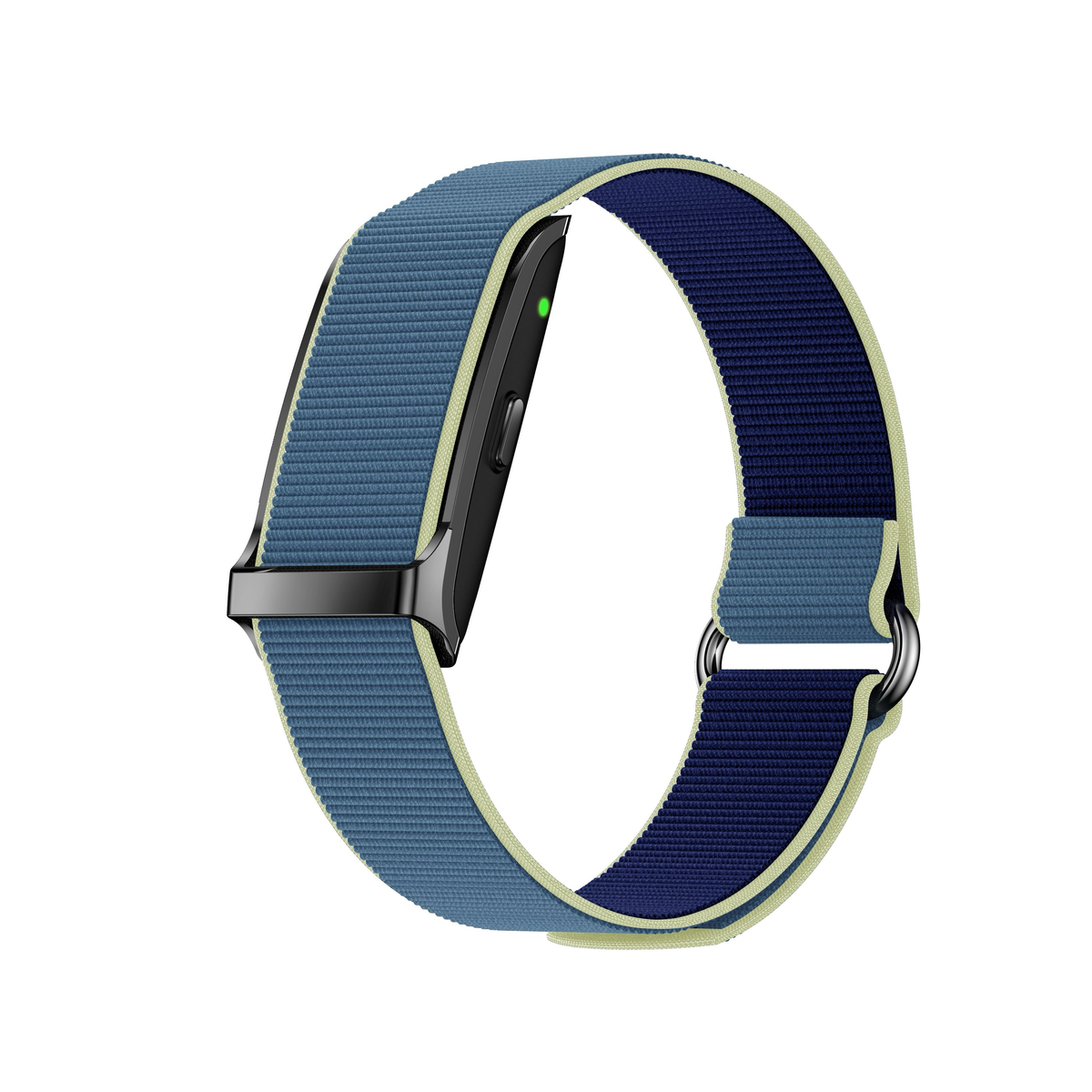 Future Care Smartband